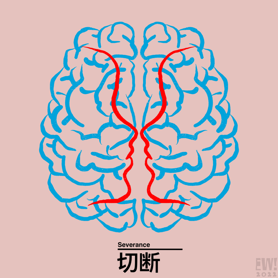 做一个切割手术大约的费用_人生切割术_切割手术是什么意思
