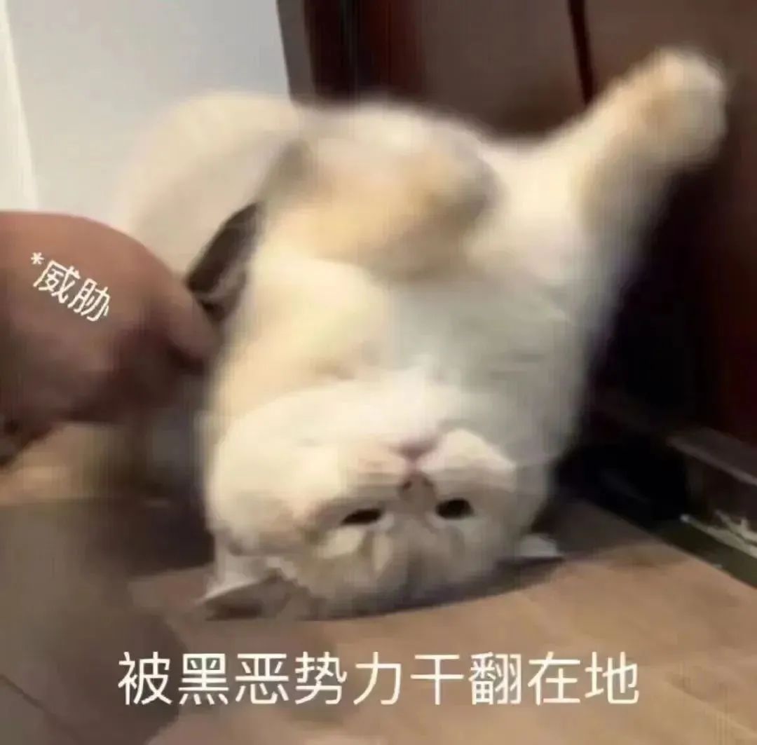 人生切割术_切割术失败_切割手术是什么意思